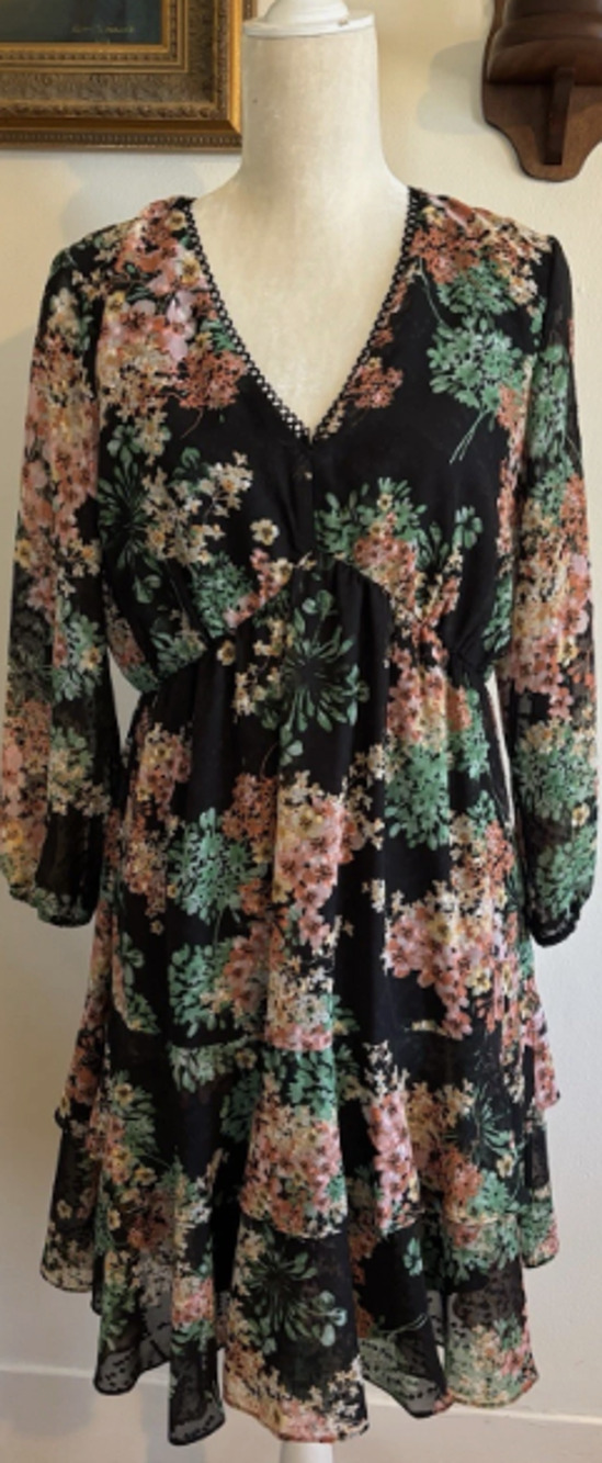 Just Taylor Dress Womens Black Green Pink Floral Sheer Long Sleeve Lined 4